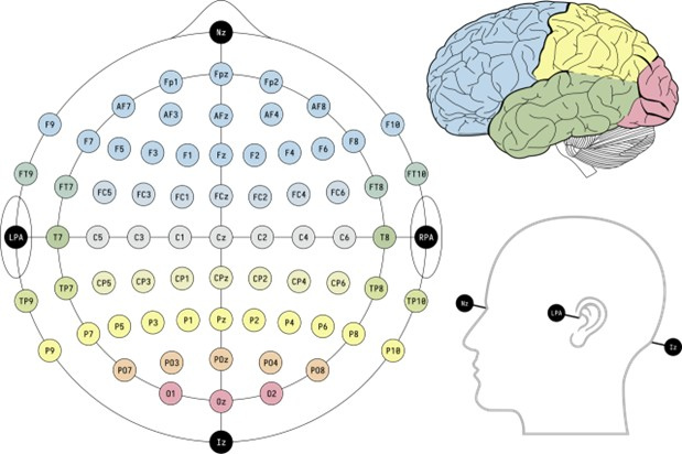 Image showing placement of electrodes on a skull for EEG. Each electrode is color coded to show it's corresponding brain region.