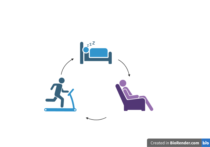 An image of a cycle between sleep, mindfulness, and exercise.