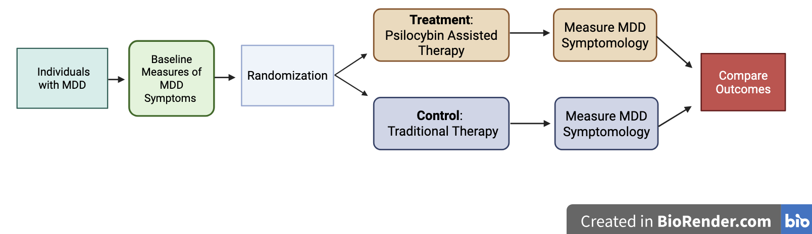 Flow chart of a potential clinical trial using psilocybin-assisted therapy.